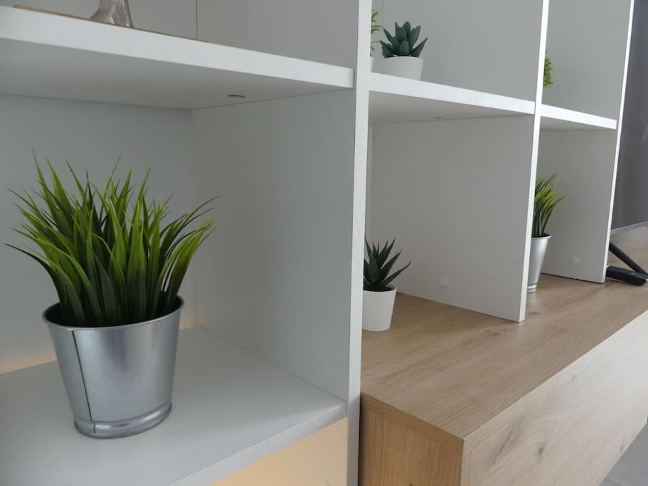 19 Piso Centrico, Nuevo Y Bien Equipado En La Trinidad Apartment Ла Лагуна Екстериор снимка
