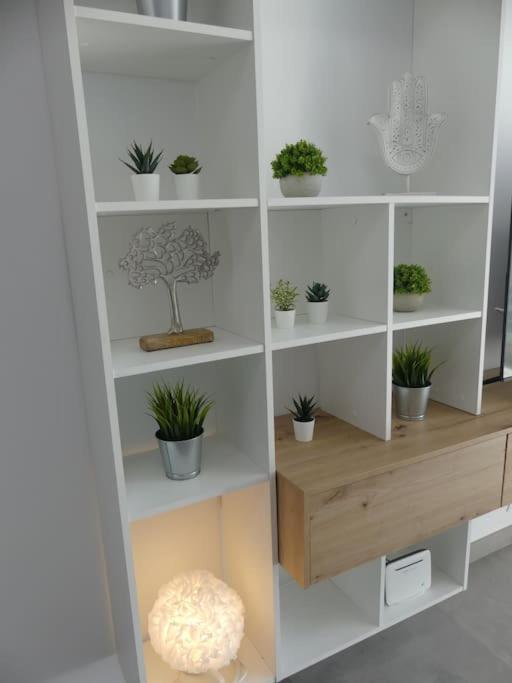 19 Piso Centrico, Nuevo Y Bien Equipado En La Trinidad Apartment Ла Лагуна Екстериор снимка